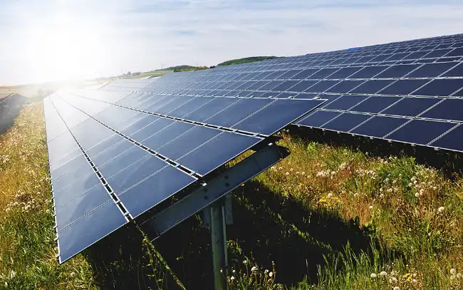 Eine Wiese, auf der viele Solarpanels in der Sonne stehen.